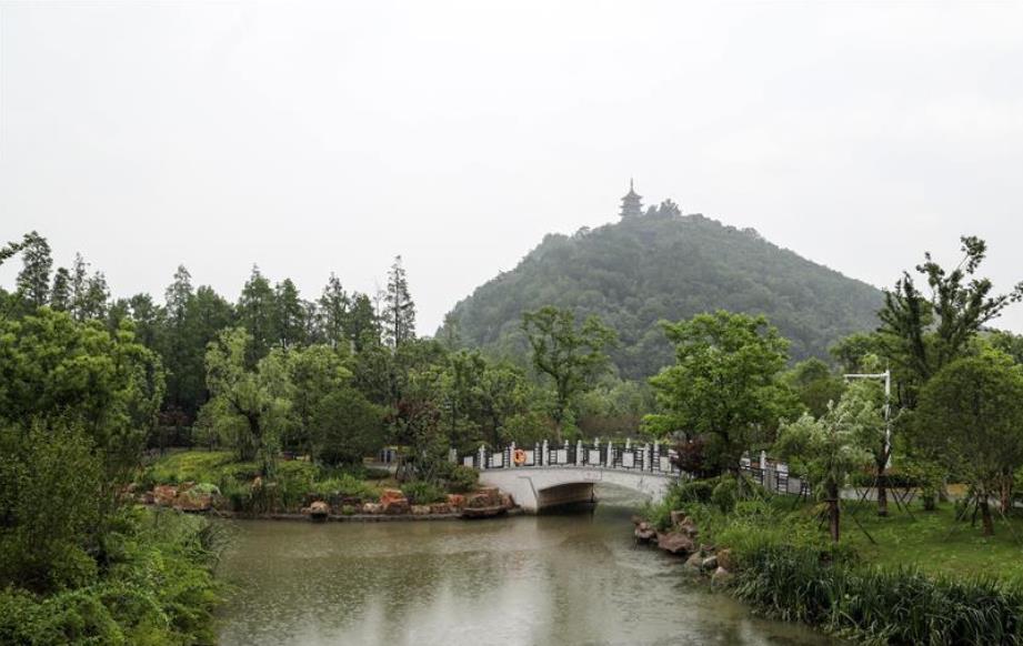 水清岸美产业兴——江苏南通小康路上的绿色实践