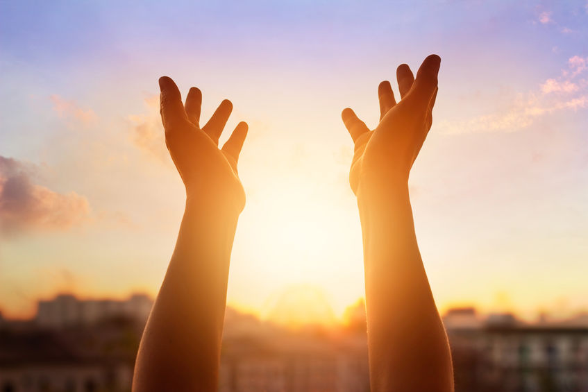 财政部：RCEP协定顺利签署 货物贸易自由化成果丰硕