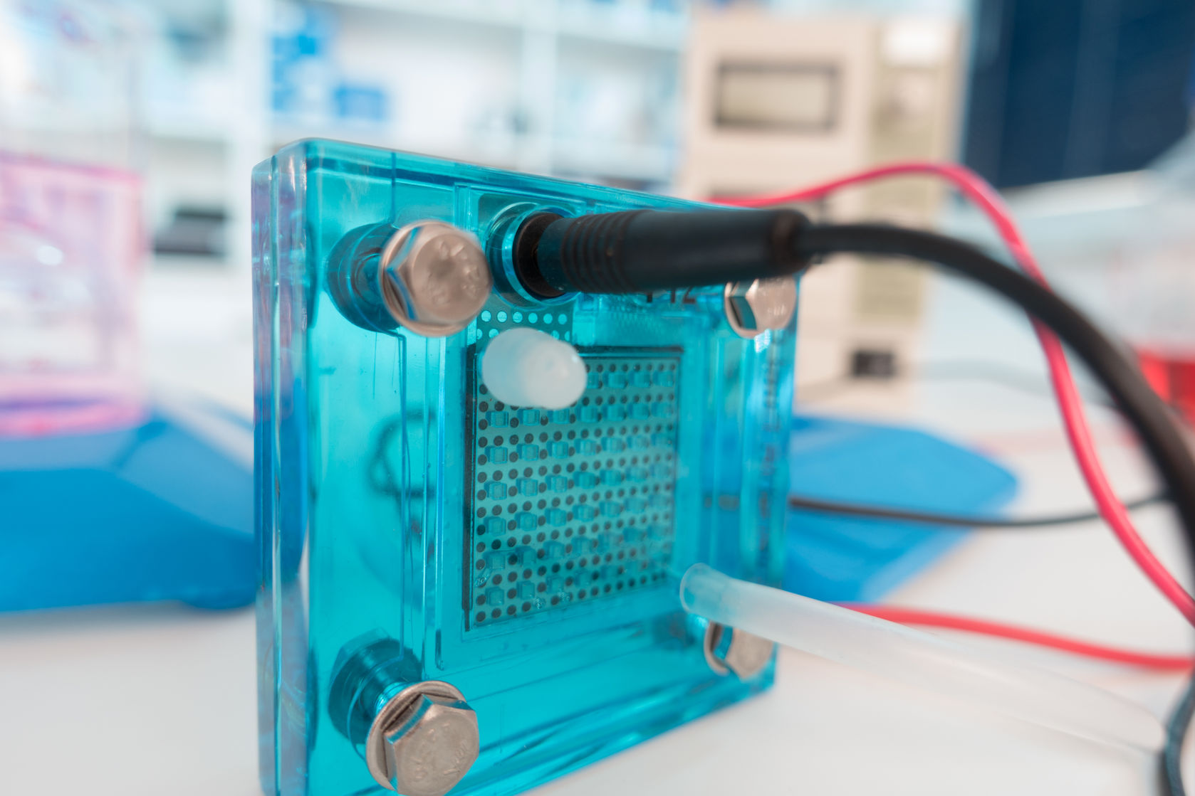 这个板块凭啥大涨？多家巨头将推出新产品