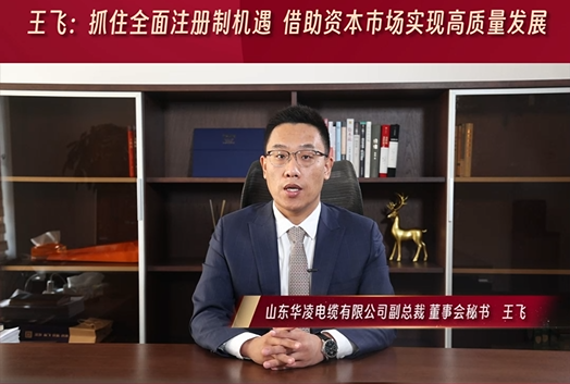 王飞：抓住全面注册制机遇  借助资本市场实现高质量发展